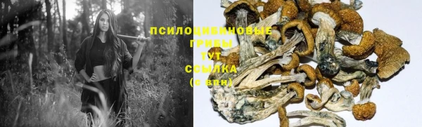jwh Нязепетровск