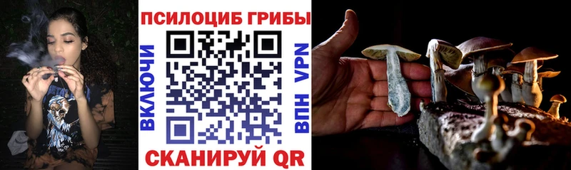 Купить  Фёдоровский  Псилоцибиновые грибы GOLDEN TEACHER 